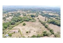 Lotes, Venta, Carmen de Apicala - $170.000.000