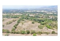 Lotes, Venta, Carmen de Apicala - $170.000.000