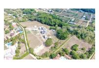 Casas, Venta, Carmen de Apicala - $348.090.420