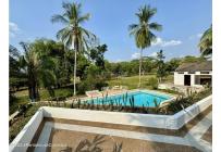 Casas, Venta, Carmen de Apicala - $537.350.000
