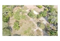 Casas, Venta, Carmen de Apicala - $537.350.000