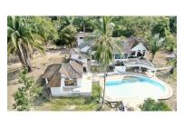 Casas, Venta, Carmen de Apicala - $537.350.000