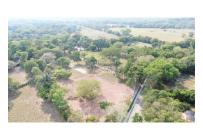 Casas, Venta, Carmen de Apicala - $537.350.000