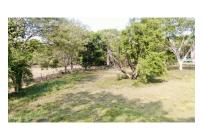 Casas, Venta, Carmen de Apicala - $537.350.000