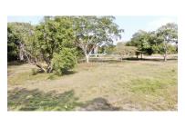 Casas, Venta, Carmen de Apicala - $537.350.000