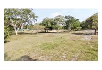 Casas, Venta, Carmen de Apicala - $537.350.000
