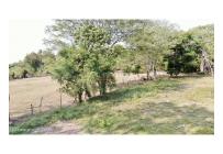 Casas, Venta, Carmen de Apicala - $537.350.000