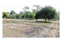 Casas, Venta, Carmen de Apicala - $537.350.000