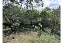 Casas, Venta, Anolaima - $789.000.000