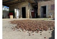 Casas, Venta, Anolaima - $789.000.000