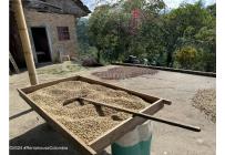 Casas, Venta, Anolaima - $789.000.000