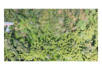 Casas, Venta, Anolaima - $789.000.000