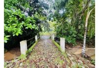 Casas, Venta, Melgar - $440.000.000