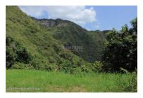 Lotes, Venta, La Mesa - $95.000.000