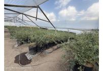 Casas, Venta, Zipaquira - $900.000.000