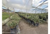 Casas, Venta, Zipaquira - $900.000.000