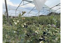 Casas, Venta, Zipaquira - $900.000.000