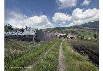 Casas, Venta, Zipaquira - $900.000.000