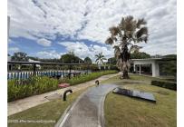 Apartamentos, Venta, Ricaurte - $420.000.000