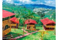 Casas, Venta, Santa Rosa de Cabal - $3.000.000.000