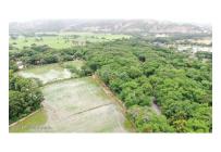 Lotes, Venta, El Zulia - $3.600.000.000