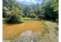 Lotes, Venta, La Vega - $3.800.000.000