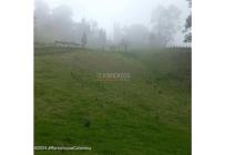 Lotes, Venta, Bojaca - $3.300.000.000