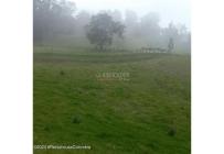 Lotes, Venta, Bojaca - $3.300.000.000