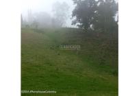 Lotes, Venta, Bojaca - $3.300.000.000