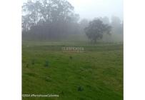 Lotes, Venta, Bojaca - $3.300.000.000