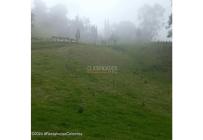 Lotes, Venta, Bojaca - $3.300.000.000