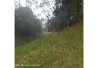 Lotes, Venta, Bojaca - $3.300.000.000