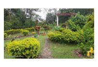 Casas, Venta, Fusagasuga - $550.000.000