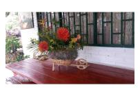 Casas, Venta, Fusagasuga - $550.000.000