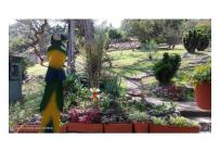 Casas, Venta, Fusagasuga - $550.000.000