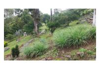 Casas, Venta, Fusagasuga - $550.000.000