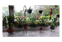 Casas, Venta, Fusagasuga - $550.000.000