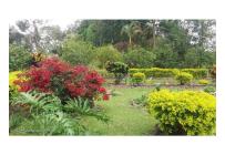 Casas, Venta, Fusagasuga - $550.000.000