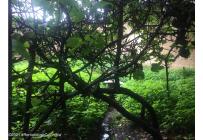 Lotes, Venta, Bogotá - $680.000.000