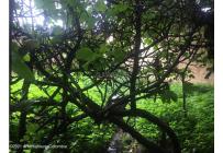 Lotes, Venta, Bogotá - $680.000.000