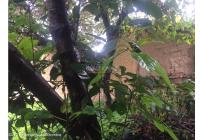 Lotes, Venta, Bogotá - $680.000.000