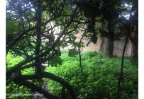 Lotes, Venta, Bogotá - $680.000.000