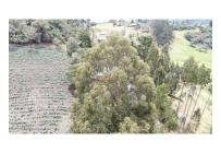 Lotes, Venta, La Calera - $1.500.000.000