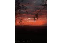 Casas, Venta, Fuquene - $750.000.000