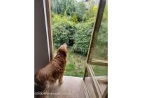 Casas, Venta, Sesquile - $498.000.000