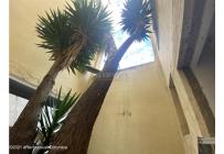 Edificios, Venta, Bogotá - $7.187.500.000