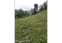 Lotes, Venta, Sasaima - $290.000.000