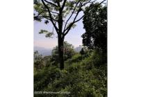 Lotes, Venta, Sasaima - $290.000.000