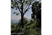 Lotes, Venta, Sasaima - $290.000.000