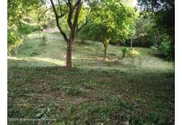 Lotes, Venta, Ricaurte - $500.000.000